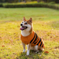 Halloween Dog Sweaters Pet Costume Teddy Warm Leisure Sweater Cosplay Clothes For Dogs Pets Outfits Meifu Market