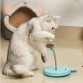 Pet Feeder Cat Toy Pets Leaking Food Ball Self-Playing Tumbler Funny Swing Feeder Puzzle Toys Playing Training Dispenser Bowl Meifu Market