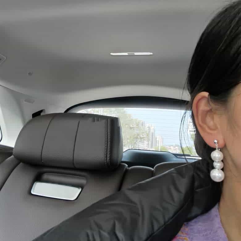 Pearl Beaded Tassel Celebrity Net Celebrity Stud Earrings