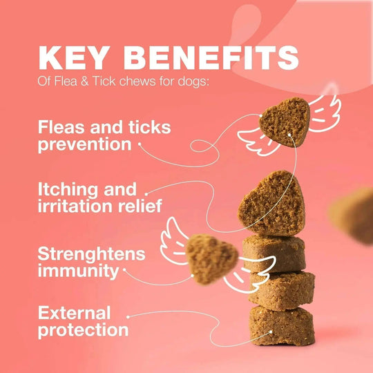Dog Flea And Tick Treatment Chews FleaTick Prevention For Dogs Chewables Natural Dog Flea & Tick Control Soft Treats Immun...
