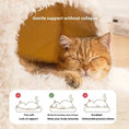 heated cat bed | orthopedic pet bed | plush cat house | energy saving