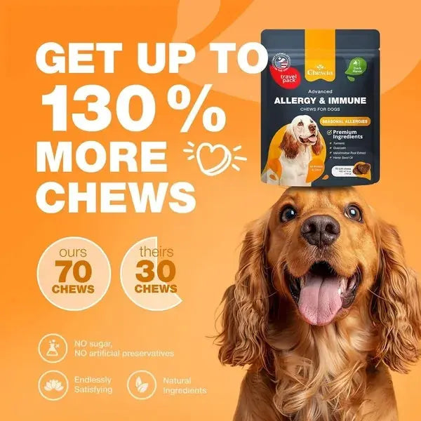 Dog Allergy Relief Chews Itch Relief For Dogs Anti Itch Dog Allergy Chews US Formulated Dog Itching Skin Relief With Salmon Oil Immune Health Seasonal Allergies & Hot Spots Support Treats Meifu Market