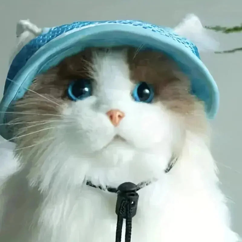 adjustable pet sun hat | uv protection for dogs | sun hat for cats | ultrasonic cleaning