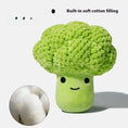 Dog Molar Teeth Cleaning Brocoli Plush Doll Sound Toy Meifu Market