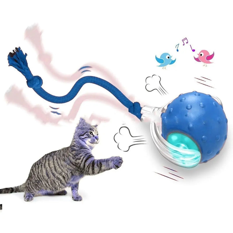 Interactive Cat Toy Ball Super Drive Cat Rolling Ball Meifu Market