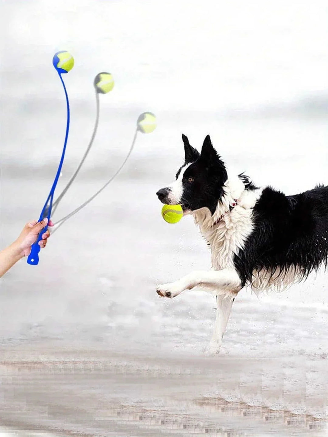 interactive dog toy | pet fetch launcher | durable dog ball thrower | ultrasonic cleaning