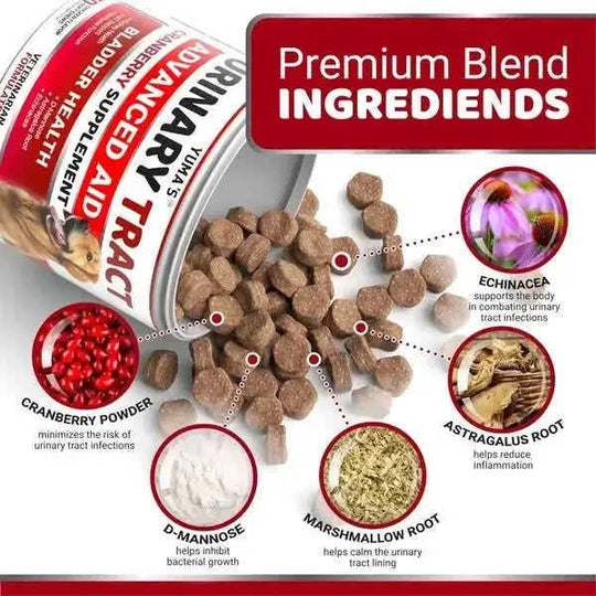 Dog UTI Treatment 170 Treats Cranberry Supplement For Dogs Bladder Control For Dogs 1PC - reverse side showing construction