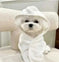 Dog Four Seasons Can Wear Bath Dry Bathrobe M - family at four seasons detail view