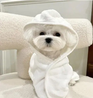 Dog Four Seasons Can Wear Bath Dry Bathrobe