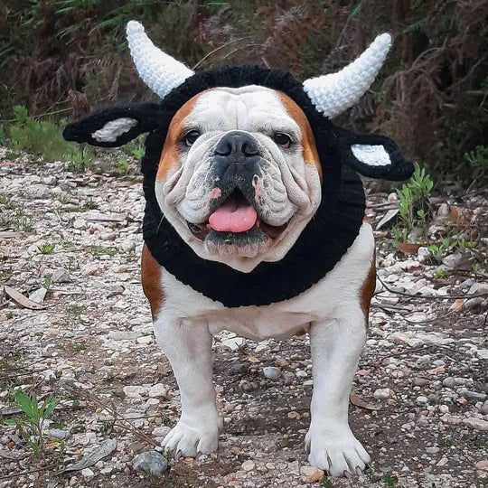 Black Cow Thermal And Windproof Halloween Knitted Jarre Aero Bull Dog Hat - Meifu Market