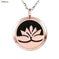 essential oil diffuser jewelry | hypoallergenic pendant necklace | personalized gift for women | ultrasonic cleaning