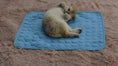 cooling pet mat for summer | breathable cat cooling pad | washable dog cooling blanket | energy saving