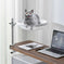 Household Non-occupied Desktop Suspended Cat Bed Black - styled cat window perch vs desktop suspended bed photo