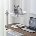 Household Non-occupied Desktop Suspended Cat Bed Meifu Market