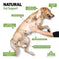Pet Probiotics Chews - Digestive Health Supplements for Dogs Meifu Market