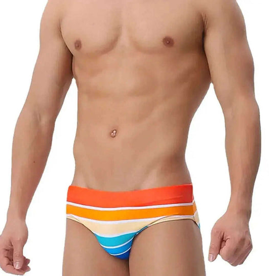 Men's Multi-Color Stripe Print Swim Briefs Holiday Beachwear Meifu Market