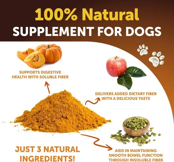 Pumpkin Powder For Dogs Digestive Support 16 OZ Fiber Supplement For Constipation For Gut Healthy Skin Digestion Glands Firm Stool Poop Anti Diarrhea Gas Relief Made In USA Meifu Market