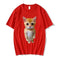 El Gato Meme Sad Crying Cat Munchkin Kitty Yellow - color variant display