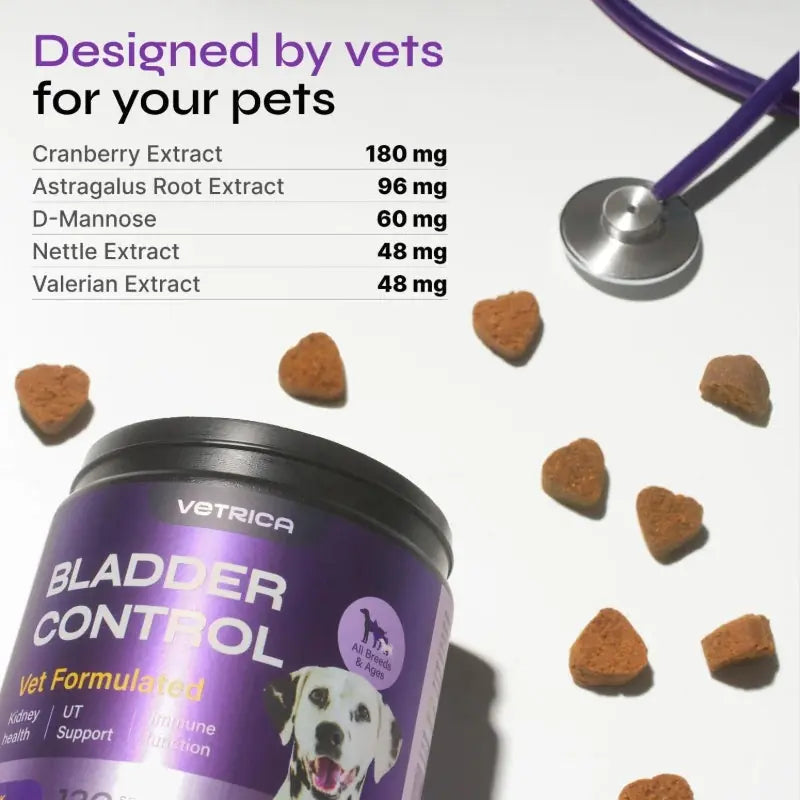 Dog UTI Treatment Duck Flavor Bladder Control Cranberry Chews Dog Cranberry Supplement For Urinary Tract Bladder & Kidney Health Cranberry D Mannose Soft Treats For Dog Incontinence Healthy Bladder Meifu Market