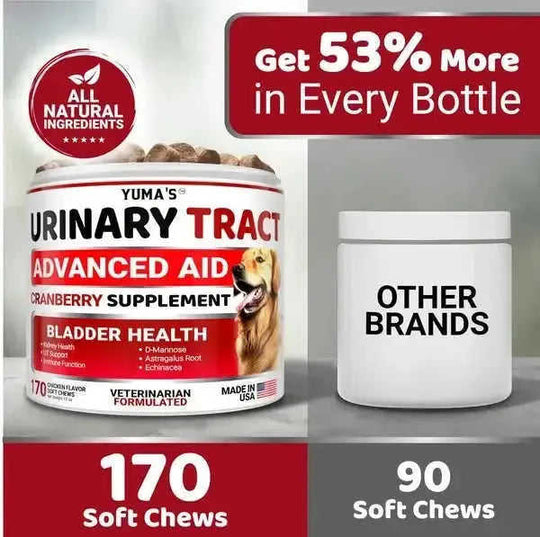 Dog UTI Treatment 170 Treats Cranberry Supplement For Dogs Bladder Control For Dogs 1PC - best cranberry supplement for do...