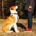 Pet Automatic Telescopic Traction Rope - where to buy a durable automatic dog walking rope in the uk