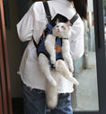 Portable cat backpack for spring outing Meifu Market