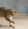 Automatic Moving Bouncing Rolling Ball Smart Cat Toy Ball Self-Moving Kitten Toy For Indoor Cat Kitten Meifu Market
