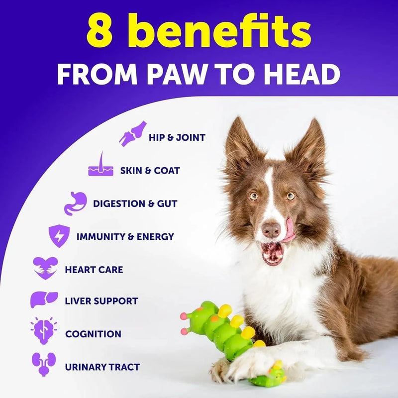 Dog Multivitamin Chewable With Glucosamine 20 In 1 Dog Vitamins And Supplements Senior & Puppy Multivitamin For Dogs Pet Joint Support Health Immunity Mobility Gut Skin 120 Chews Meifu Market