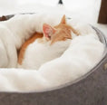 pet bed Meifu Market