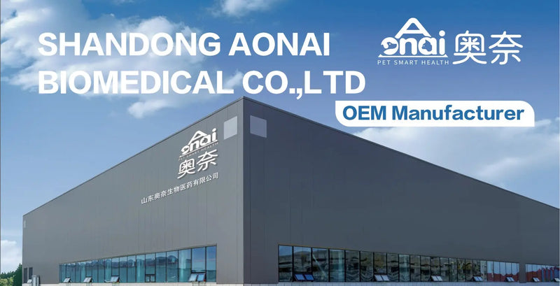 OEM Hot Sales Probiotics Chews For Pets Customized Shape Meifu Market