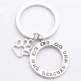 stainless-steel dog tag | personalized pet id tag | engraved dog collar accessories | energy saving