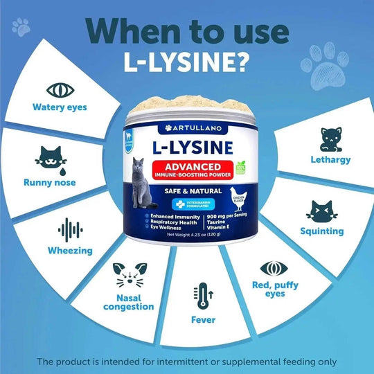 Do Not Sell On Amazon L Lysine For Cats Lysine Powder Supplement 900mg Serving Immune Support For Cats & Kittens Sneezing ...