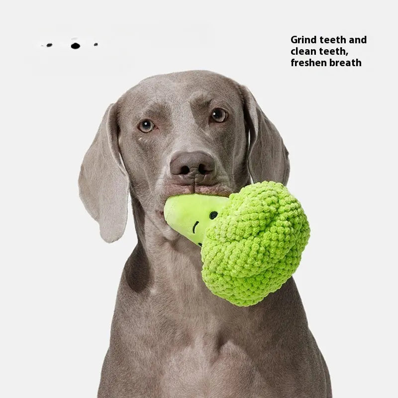Dog Molar Teeth Cleaning Brocoli Plush Doll Sound Toy Meifu Market