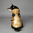 Dog Large Dog Raincoat Pet Jacket Meifu Market