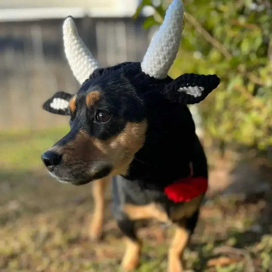 Black Cow Thermal And Windproof Halloween Knitted Jarre Aero Bull Dog Hat - Meifu Market
