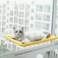 Pet Litter Sucker Hanging Cat Window Hammock Meifu Market