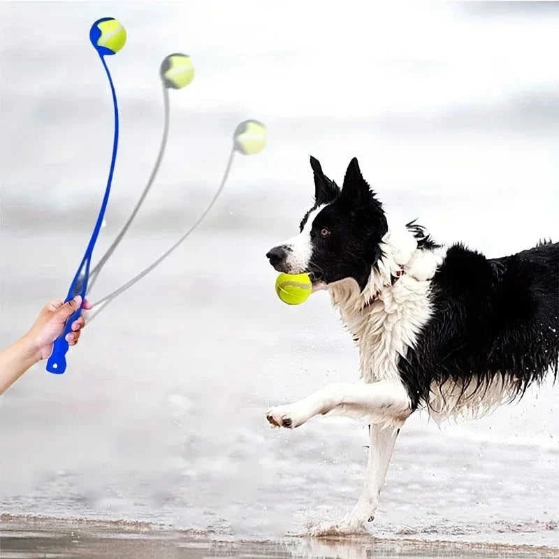 interactive dog toy | pet fetch launcher | durable dog ball thrower | energy saving