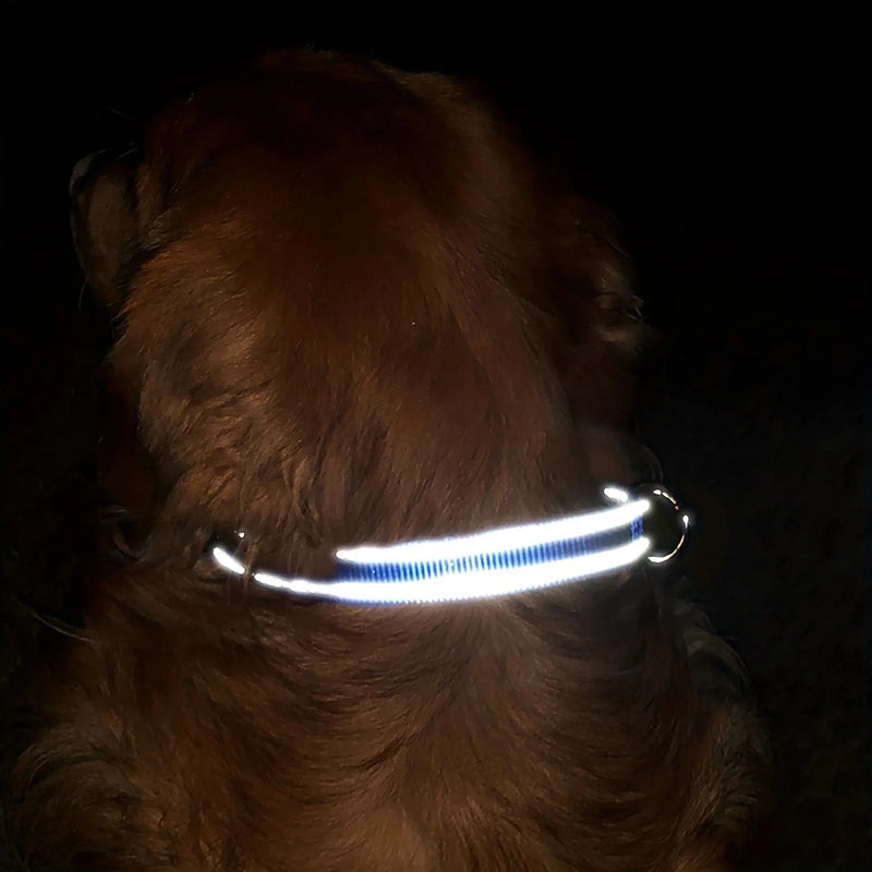 reflective dog collar | adjustable neoprene collar | padded breathable nylon collar | ultrasonic cleaning