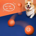 Pet Dog Rubber Ball Toys For Dogs Resistance To Bite Dog Chew Toys Puppy Pets Dogs Training Products Meifu Market