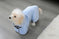 Quick-drying Pet Absorbent Towel Dog Bathrobe Pet Dog Bath Towel For Dogs Cats Microfiber Absorbent Pet Drying Towel Pet Supplies Pet Products Meifu Market