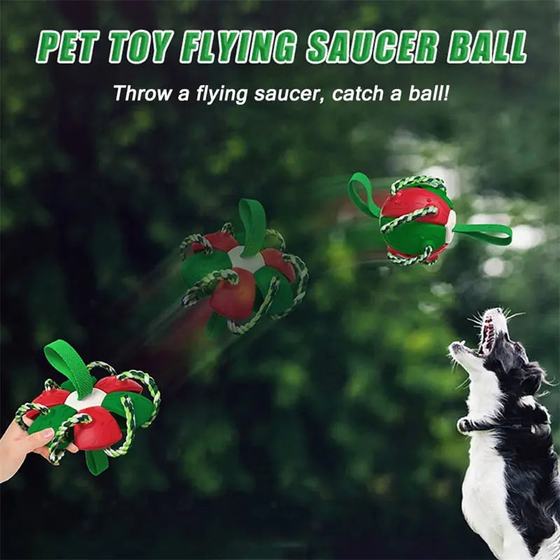 Interactive Dog Football Soccer Ball With Tabs Inflated Training Toy Outdoor Border Collie Balls Pet Products Meifu Market