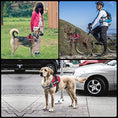 reflective dog vest harness | comfortable mesh dog harness | safety pet vest | energy saving