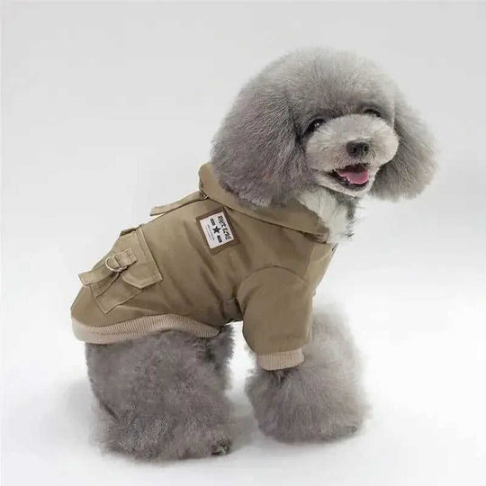 Cap dog coat Grey - close-up detail shot