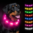 rechargeable pet collar | led dog collar | glowing cat collar | ultrasonic cleaning