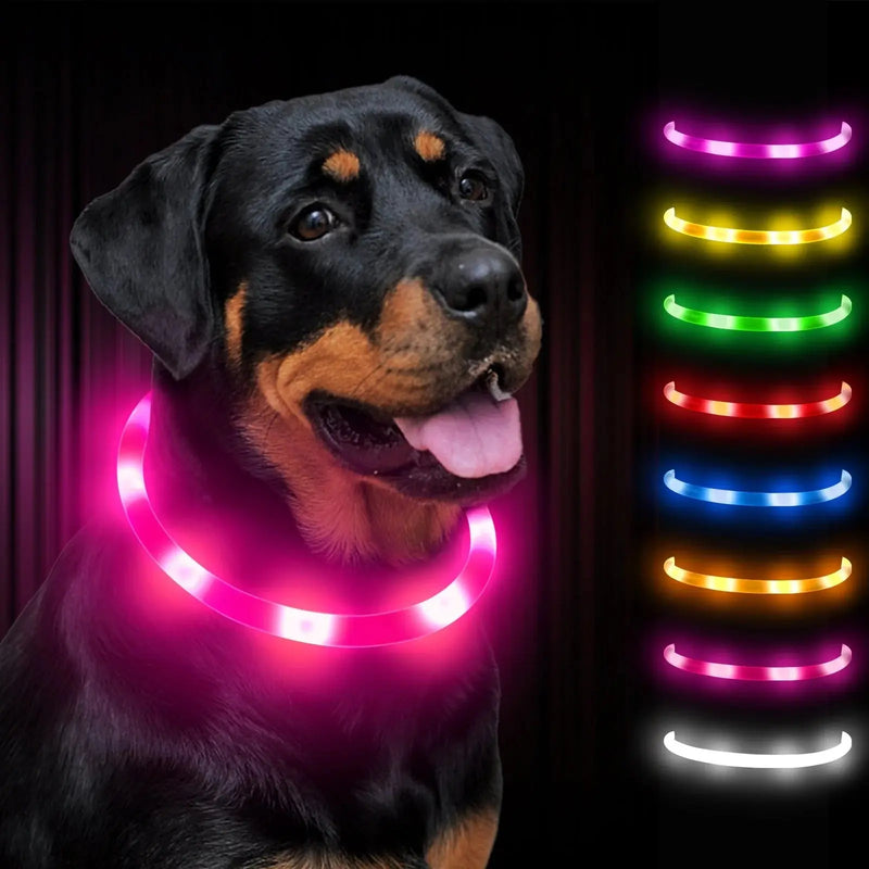 rechargeable pet collar | led dog collar | glowing cat collar | ultrasonic cleaning
