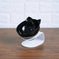 Non Slip Double Cat Bowl With Raised Stand Pet Food Cat Feeder Protect Cervical Vertebra Dog Bowl Transparent Pet Products...