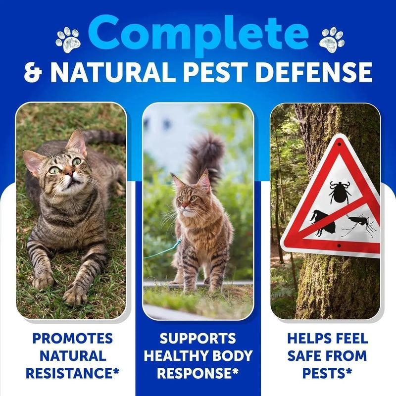 Flea Treatment For Cats Natural Flea And Tick Prevention Supplement For Cats Kittens Chewable Daily Oral Pills With Vitamins 135 Soft Chews Skin & Coat Dental Treats Digestion CANNOT Be Sold On Amazon Meifu Market