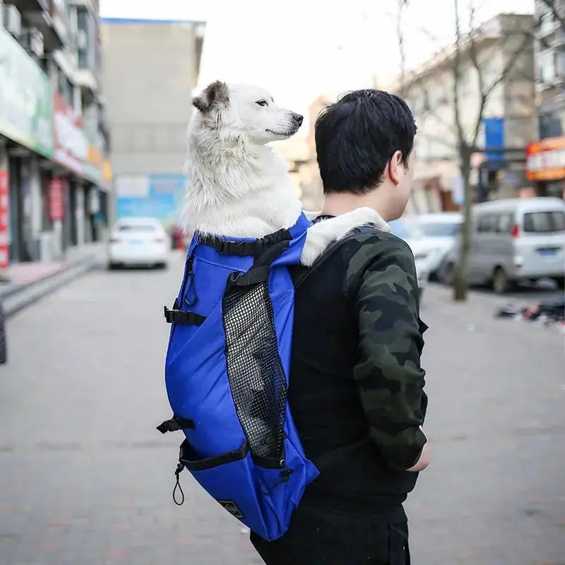 Pet Dog Carrier Bag Carrier For Dogs Backpack Out Double Shoulder Portable Travel Backpack Outdoor Dog Carrier Bag Travel Meifu Market