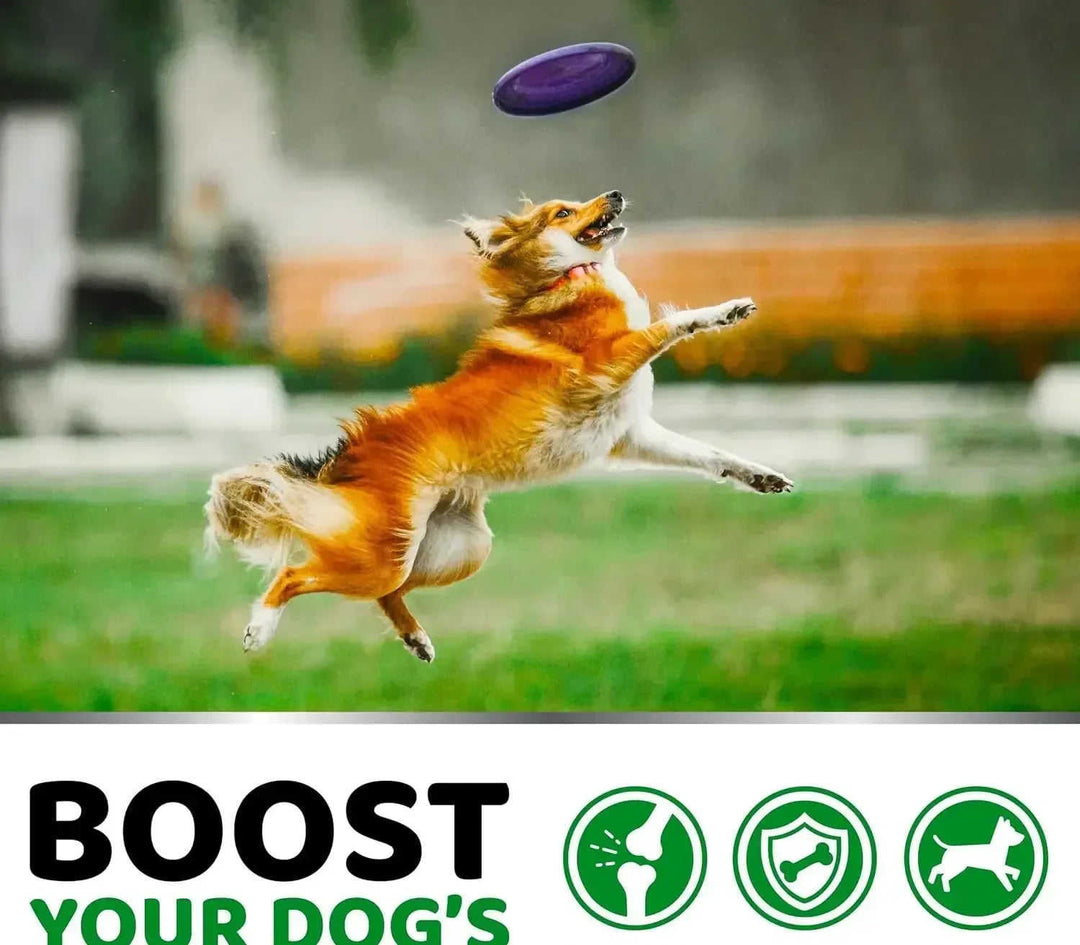 Pet Hip & Joint Supplement Chondroitin Soft Particles Meifu Market