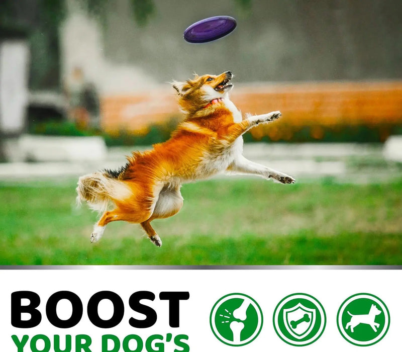 Pet Hip & Joint Supplement Chondroitin Soft Particles Meifu Market